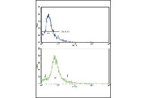 Flow cytometric analysis of hela cells using SKP2 Antibody (Center)(bottom histogram) compared to a negative control cell (top histogram). (SKP2 antibody  (AA 156-185))