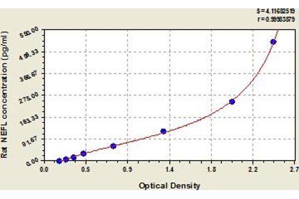 NEFL ELISA Kit