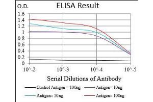 Black line: Control Antigen (100 ng), Purple line: Antigen(10 ng), Blue line: Antigen (50 ng), Red line: Antigen (100 ng), (Prokineticin Receptor 2 antibody  (acetylated))