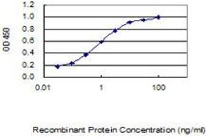 Detection limit for recombinant GST tagged MGC50273 is 0. (MGC50273 (AA 1-209) antibody)