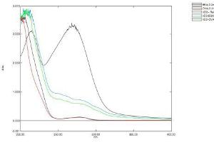 Image no. 1 for Vitamin D3 protein (Ovalbumin) (ABIN1880124) (Vitamin D3 Protein (Ovalbumin))