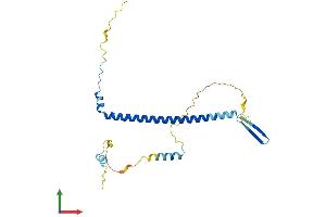 AlphaFold protein structure predicition of Mouse Recombinant Nol12 Protein, UniprotID Q8BG17