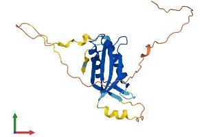 AlphaFold protein structure predicition of Mouse Recombinant Ddit4 Protein, UniprotID Q9D3F7