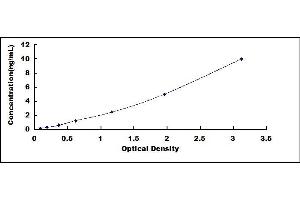 Typical standard curve (Cyclin D1 ELISA Kit)