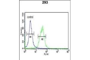 TRIB2 Antibody (N-term) (ABIN652876 and ABIN2842567) flow cytometric analysis of 293 cells (right histogram) compared to a negative control cell (left histogram). (TRIB2 antibody  (N-Term))