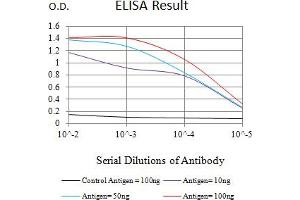 Black line: Control Antigen (100 ng),Purple line: Antigen (10 ng), Blue line: Antigen (50 ng), Red line:Antigen (100 ng) (ERCC1 antibody  (AA 1-297))