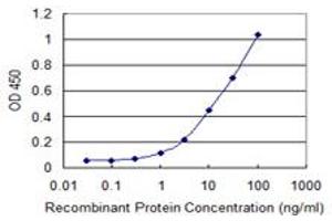 Detection limit for recombinant GST tagged PDPK2 is 0. (PDPK1 antibody  (AA 253-348))