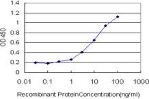 Detection limit for recombinant GST tagged TLN1 is approximately 0. (TLN1 antibody  (AA 1052-1149))
