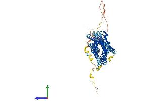 Protein Structure (PS) image for G Protein-Coupled Receptor 151 (GPR151) (AA 1-422) protein (His tag) (ABIN7558295)