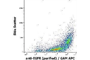 Flow cytometry surface staining pattern of A-431 cells stained using anti-EGFR (EGFR1) purified antibody (concentration in sample 1 μg/mL) GAM APC.