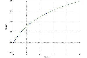 Adenosine A3 Receptor (ADORA3) ELISA Kit