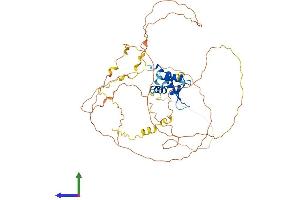 Protein Structure (PS) image for Forkhead Box O4 (FOXO4) (AA 1-505) protein (His tag) (ABIN7565241)