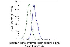 Validation of Electron transfer flavoprotein subunit alpha knockdown using flow cytometry. (ETFA antibody)