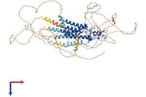 Lipid Phosphate Phosphatase-Related Protein Type 4 (LPPR4) (AA 1-766) protein (His tag)