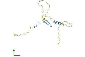AlphaFold protein structure predicition of Mouse Recombinant Cdc42ep5 Protein, UniprotID Q9Z0X0 (CDC42EP5 Protein (AA 1-150) (His tag))