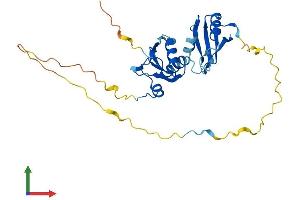 Protein Structure (PS) image for Small Nuclear Ribonucleoprotein Polypeptide A (SNRPA) (AA 1-287) protein (His tag) (ABIN7557767)