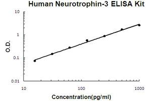 Human Neurotrophin-3 Accusignal ELISA Kit Human Neurotrophin-3 AccuSignal ELISA Kit standard curve. (Neurotrophin 3 ELISA Kit)
