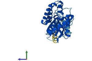 Protein Structure (PS) image for Phosphatidylinositol Glycan L (PIGL) (AA 1-252) protein (His tag) (ABIN7550776)