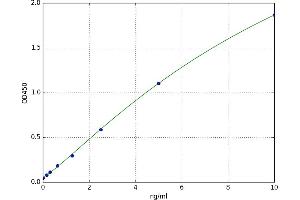 Heat shock factor protein 2 (HSF2) ELISA Kit