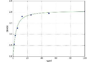 Fibronectin, Cellular (cFN) ELISA Kit