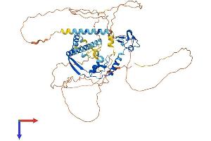AlphaFold protein structure predicition of Human Recombinant CSRNP1 Protein, UniprotID Q96S65 (AXUD1 Protein (AA 1-589) (His tag))