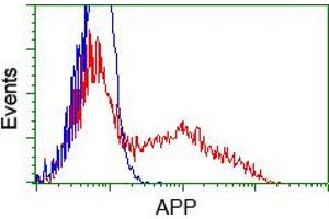 Image no. 8 for anti-Amyloid beta (A4) Precursor Protein (APP) antibody (ABIN1496877) (APP antibody)