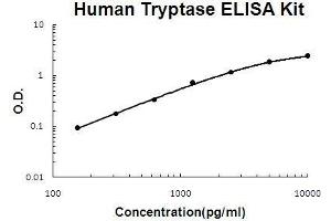 Human Tryptase EZ Set ELISA Kit standard curve (Human Tryptase/TPSAB1,B2 EZ Set™ ELISA Kit (DIY Antibody Pairs))