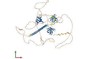 AlphaFold protein structure predicition of Human Recombinant CD2AP Protein, UniprotID Q9Y5K6 (CD2AP Protein (AA 1-639) (His tag))