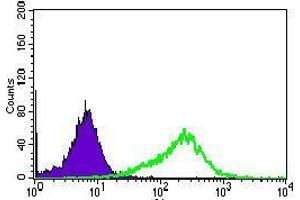 Flow cytometric analysis of HepG2 cells using ALPI mouse mAb (green) and negative control (purple). (Intestinal Alkaline Phosphatase antibody  (AA 397-458))