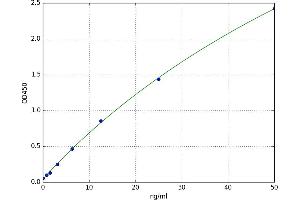 Claudin 16 (CLDN16) ELISA Kit