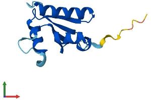 AlphaFold protein structure predicition of Mouse Recombinant Sh3bgrl2 Protein, UniprotID Q8BG73