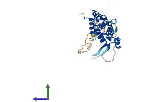 AlphaFold protein structure predicition of Human Recombinant PACRG Protein, UniprotID Q96M98 (PACRG Protein (AA 1-296) (His tag))