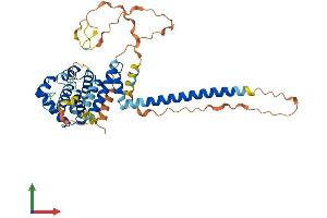 AlphaFold protein structure predicition of Human Recombinant CNPPD1 Protein, UniprotID Q9BV87 (C2orf24 Protein (AA 1-410) (His tag))