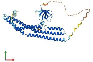 Protein Structure (PS) image for SH3-Domain GRB2-Like 1 (SH3GL1) (AA 1-368) protein (His tag) (ABIN7557788)
