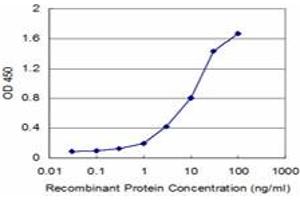Detection limit for recombinant GST tagged CTNNA1 is approximately 0. (CTNNA1 antibody  (AA 152-250))