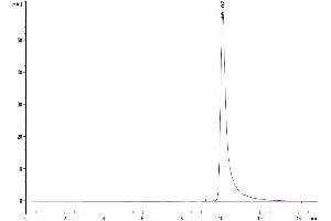 The purity of Human MARCO is greater than 95 % as determined by SEC-HPLC. (MARCO Protein (AA 405-520) (His tag))
