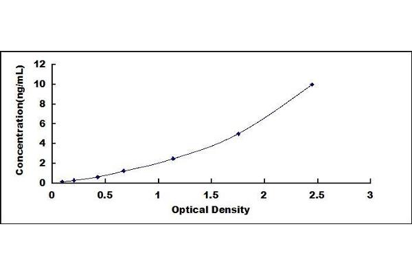 SRD5A2 ELISA Kit