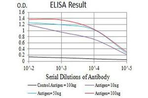 Black line: Control Antigen (100 ng),Purple line: Antigen (10 ng), Blue line: Antigen (50 ng), Red line:Antigen (100 ng) (CD147 antibody  (AA 138-323))