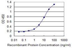 Detection limit for recombinant GST tagged FKBP5 is 0. (FKBP5 antibody  (AA 1-457))