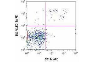 Flow Cytometry (FACS) image for anti-C-Type Lectin Domain Family 12, Member A (CLEC12A) antibody (PE) (ABIN2662632) (CLEC12A antibody  (PE))