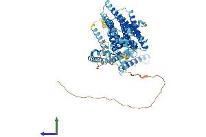 AlphaFold protein structure predicition of Human Recombinant RNF145 Protein, UniprotID Q96MT1 (RNF145 Protein (AA 1-663) (His tag))