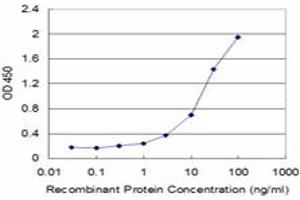 Detection limit for recombinant GST tagged DDB1 is approximately 0. (DDB1 antibody  (AA 1044-1140))