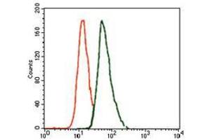 Flow cytometric analysis of A549 cells using T mouse mAb (green) and negative control (red). (T Antigen (AA 218-352) antibody)