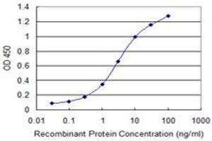 Detection limit for recombinant GST tagged CDC37L1 is 0. (CDC37L1 antibody  (AA 1-337))