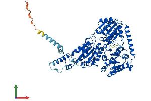 Protein Structure (PS) image for IlvB (Bacterial Acetolactate Synthase)-Like (ILVBL) (AA 1-632) protein (His tag) (ABIN7548499)