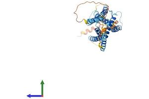 AlphaFold protein structure predicition of Human Recombinant TMEM198 Protein, UniprotID Q66K66 (TMEM198 Protein (AA 1-360) (His tag))