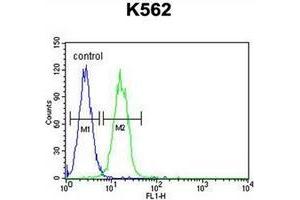 Flow cytometric analysis of K562 cells usinb JMJD2C Antibody (C-term) Cat. (KDM4C antibody  (C-Term))