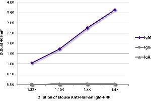 ELISA plate was coated with purified human IgM, IgG, and IgA. (Mouse anti-Human IgM (Heavy Chain) Antibody (HRP))