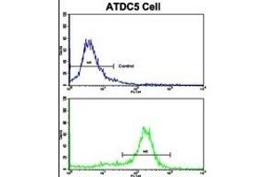 Flow cytometric analysis of ATDC5 cells using MSRB2 Antibody (Center)(bottom histogram) compared to a negative control cell (top histogram). (MSRB2 antibody  (AA 44-73))
