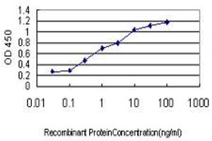 Detection limit for recombinant GST tagged CRIM1 is approximately 0. (CRIM1 antibody  (AA 36-145))